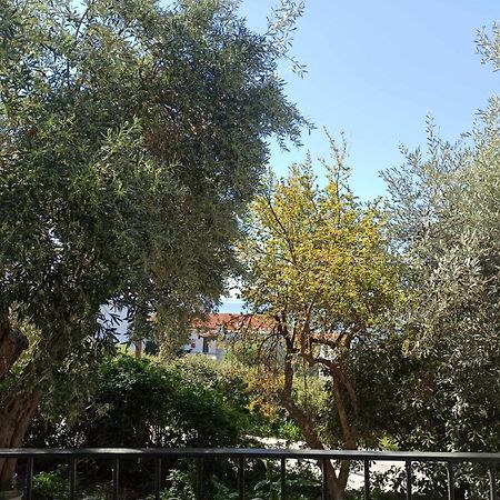 העיירה סקיאתוס Greekowl Apartments מראה חיצוני תמונה