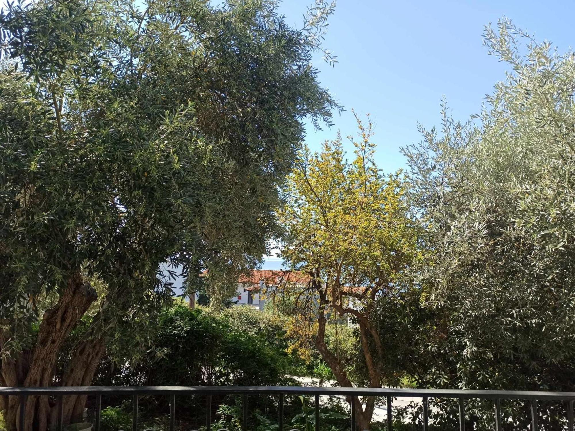 העיירה סקיאתוס Greekowl Apartments מראה חיצוני תמונה