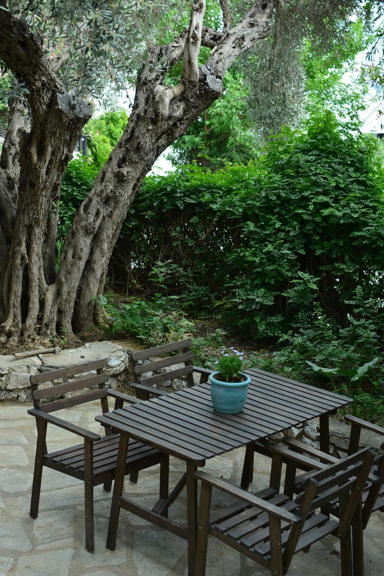 העיירה סקיאתוס Greekowl Apartments מראה חיצוני תמונה