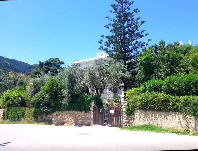 העיירה סקיאתוס Greekowl Apartments חדר תמונה